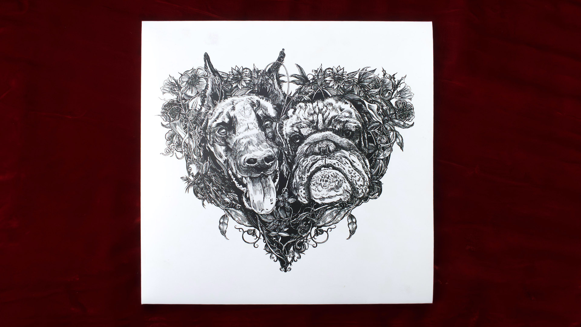 kate-bush-hounds-of-love-vinyl-resissue-baskerville-edition