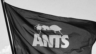 ants ade